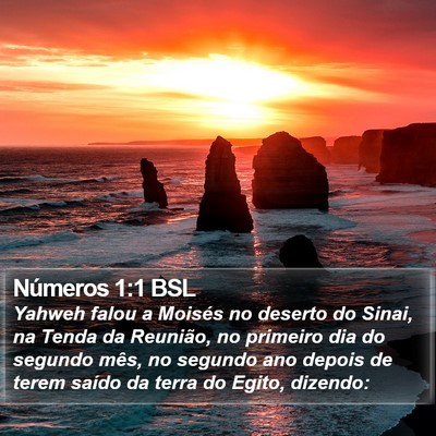 Números 1:1 BSL Bible Verse Image