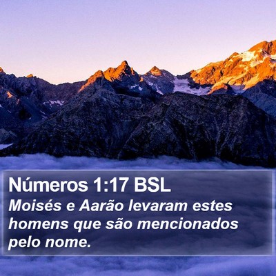 Números 1:17 BSL Bible Verse Image