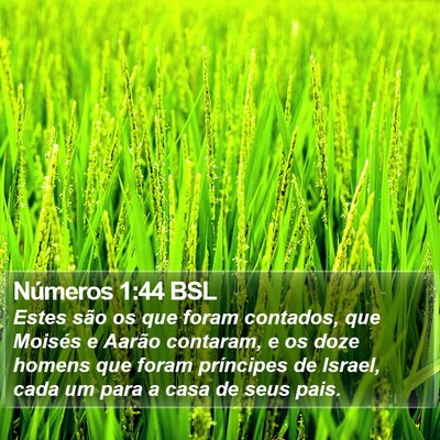 Números 1:44 BSL Bible Verse Image