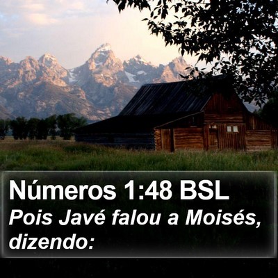 Números 1:48 BSL Bible Verse Image