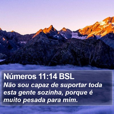 Números 11:14 BSL Bible Verse Image