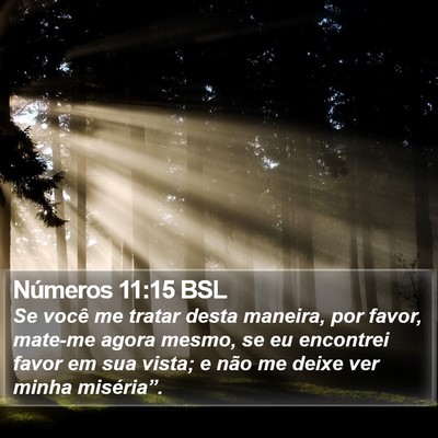 Números 11:15 BSL Bible Verse Image