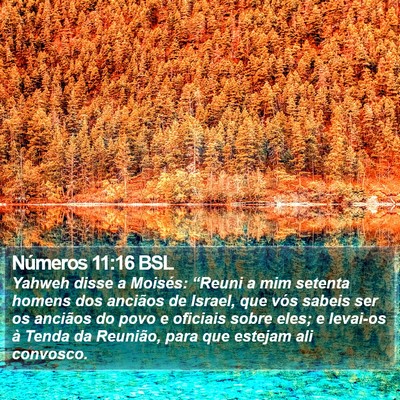 Números 11:16 BSL Bible Verse Image