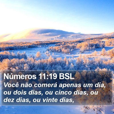 Números 11:19 BSL Bible Verse Image