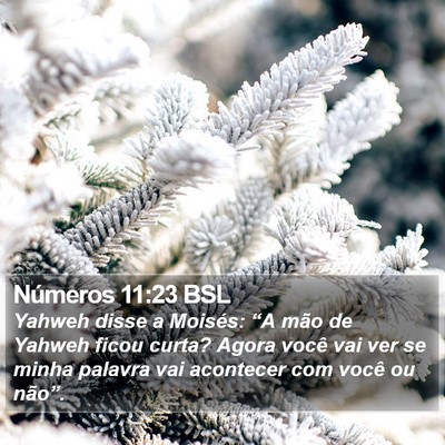 Números 11:23 BSL Bible Verse Image