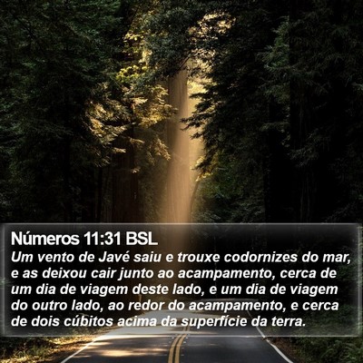 Números 11:31 BSL Bible Verse Image