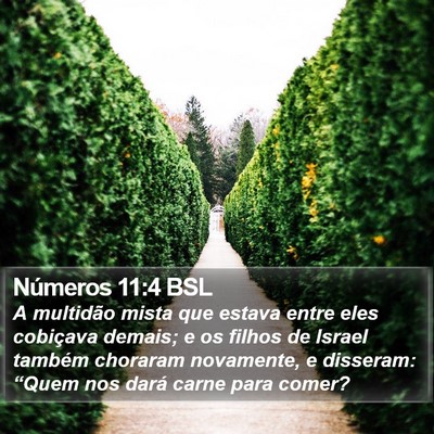 Números 11:4 BSL Bible Verse Image
