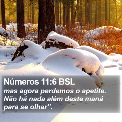 Números 11:6 BSL Bible Verse Image