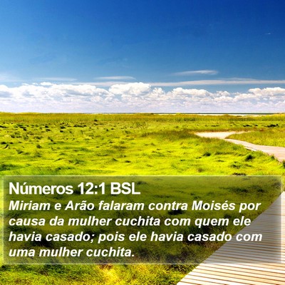 Números 12:1 BSL Bible Verse Image