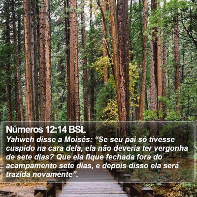 Números 12:14 BSL Bible Verse Image