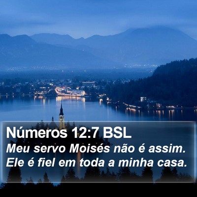 Números 12:7 BSL Bible Verse Image