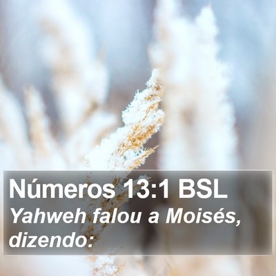 Números 13:1 BSL Bible Verse Image