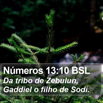 Números 13:10 BSL Bible Verse Image