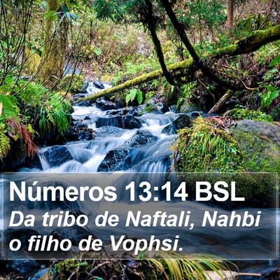 Números 13:14 BSL Bible Verse Image