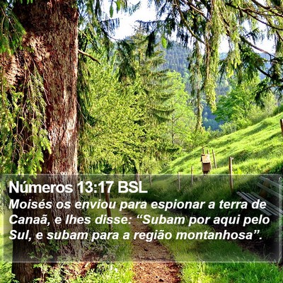 Números 13:17 BSL Bible Verse Image