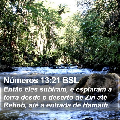 Números 13:21 BSL Bible Verse Image