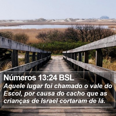 Números 13:24 BSL Bible Verse Image