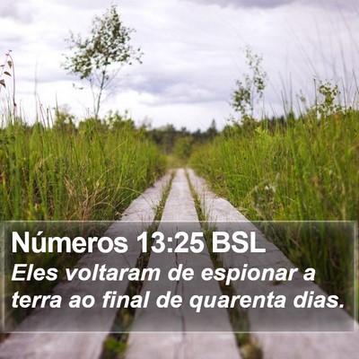 Números 13:25 BSL Bible Verse Image