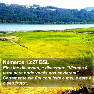 Números 13:27 BSL Bible Verse Image