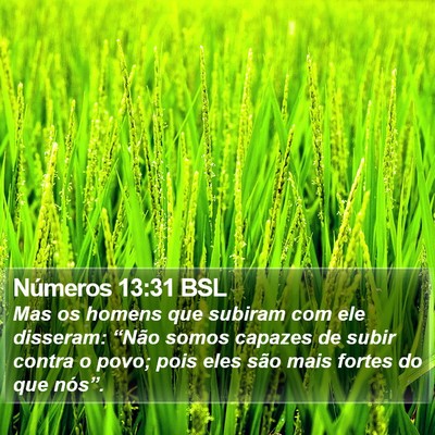 Números 13:31 BSL Bible Verse Image