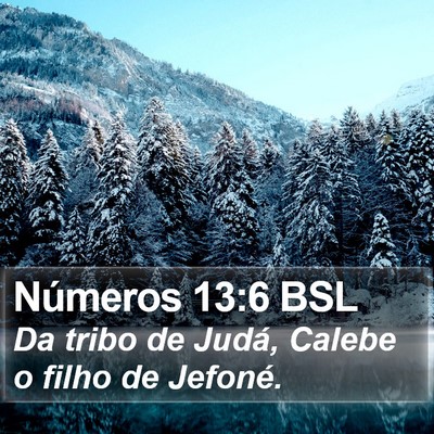 Números 13:6 BSL Bible Verse Image