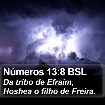 Números 13:8 BSL Bible Verse Image