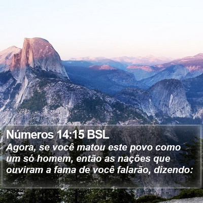 Números 14:15 BSL Bible Verse Image