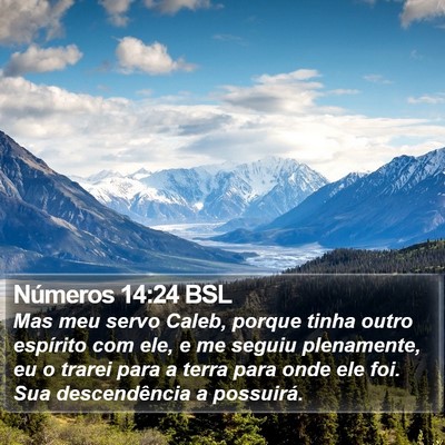 Números 14:24 BSL Bible Verse Image