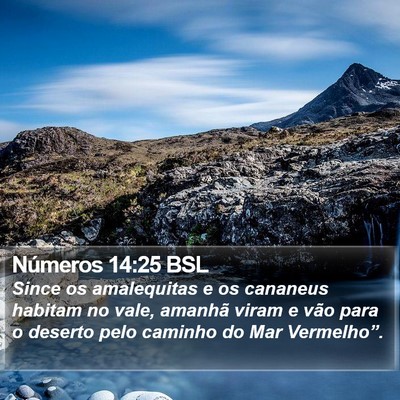 Números 14:25 BSL Bible Verse Image