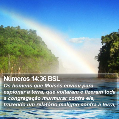Números 14:36 BSL Bible Verse Image