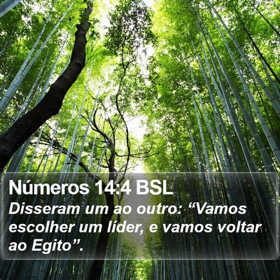 Números 14:4 BSL Bible Verse Image