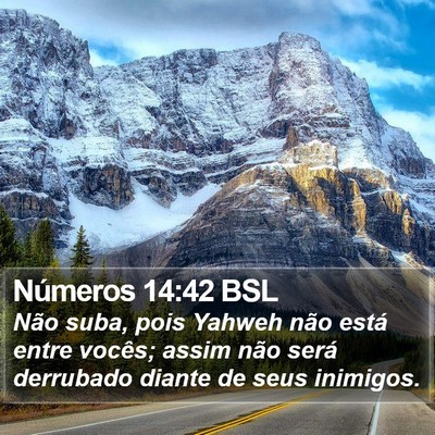 Números 14:42 BSL Bible Verse Image