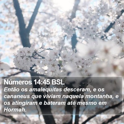 Números 14:45 BSL Bible Verse Image