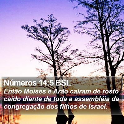 Números 14:5 BSL Bible Verse Image
