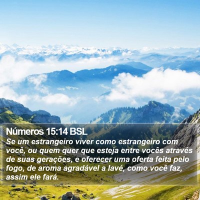Números 15:14 BSL Bible Verse Image