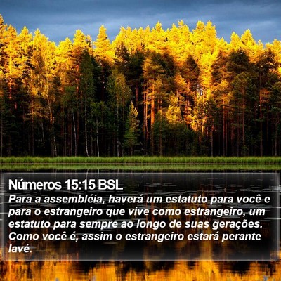 Números 15:15 BSL Bible Verse Image