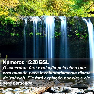 Números 15:28 BSL Bible Verse Image