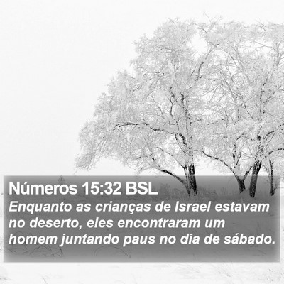 Números 15:32 BSL Bible Verse Image