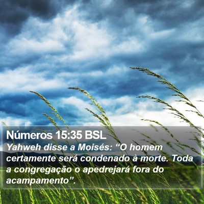 Números 15:35 BSL Bible Verse Image