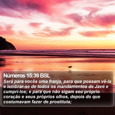 Números 15:39 BSL Bible Verse Image