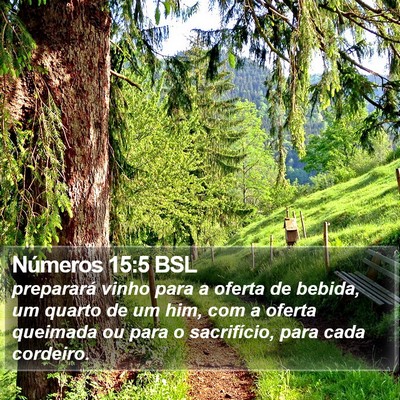 Números 15:5 BSL Bible Verse Image