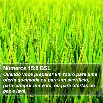 Números 15:8 BSL Bible Verse Image