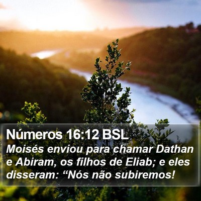 Números 16:12 BSL Bible Verse Image