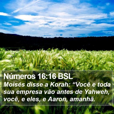 Números 16:16 BSL Bible Verse Image