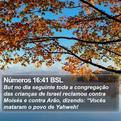 Números 16:41 BSL Bible Verse Image