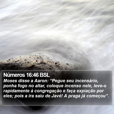 Números 16:46 BSL Bible Verse Image