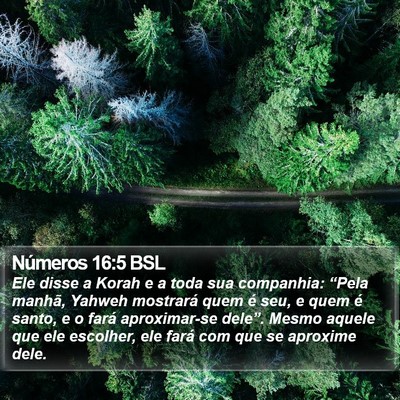 Números 16:5 BSL Bible Verse Image