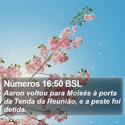 Números 16:50 BSL Bible Verse Image