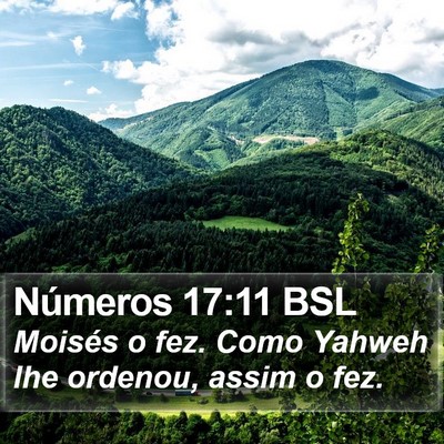 Números 17:11 BSL Bible Verse Image