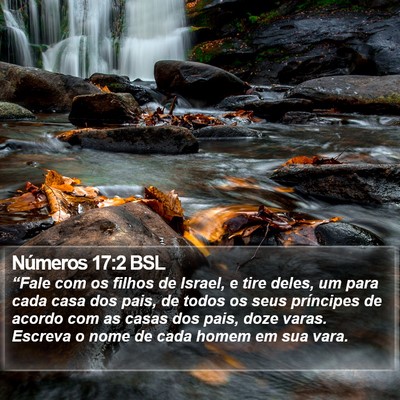 Números 17:2 BSL Bible Verse Image